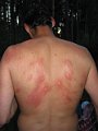 foto 021